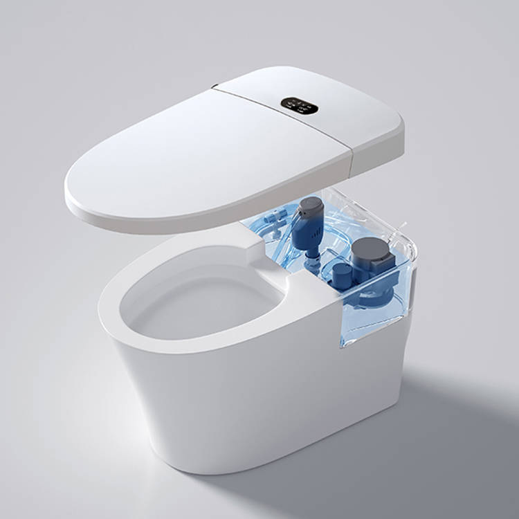 Moderne Smart-Toilette mit dig – Home Bathroom Ware Bewertung und Preis